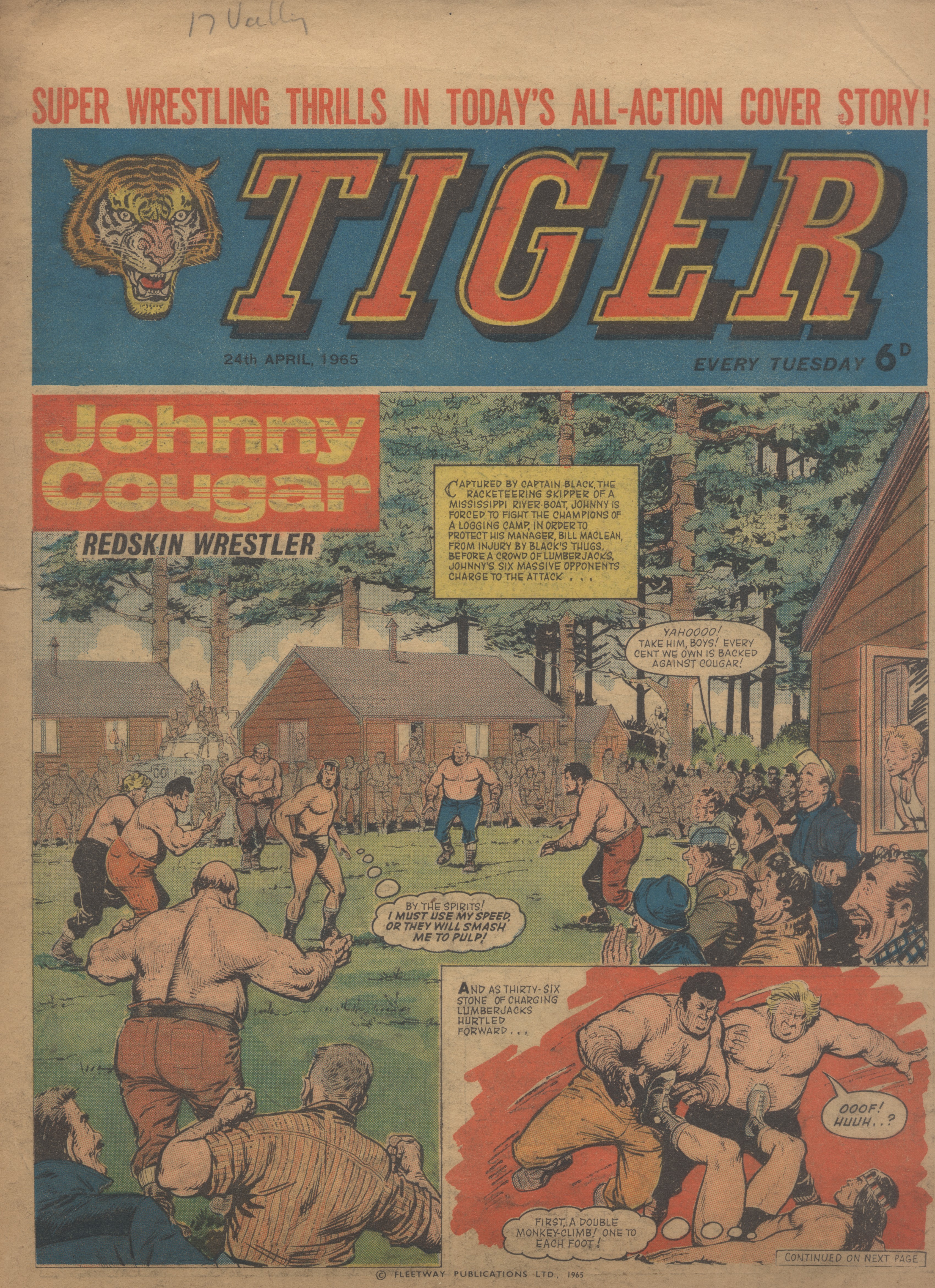 Tiger